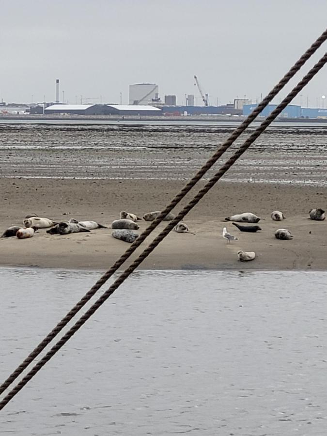 Det Bla Gaestehus Fanø Extérieur photo